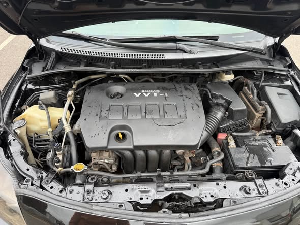 A picture of Toyota Corolla 2010