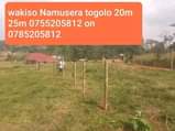 A picture of Good plots of mailo land