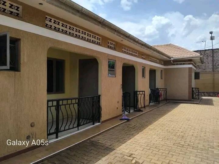 houses for rent