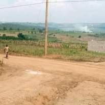 A picture of Plots and Houses for sell