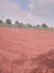 A picture of 50by100 at only 10m 50by50 at only 5 5m all