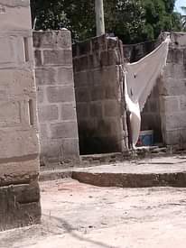 A picture of Kiwanja na nyumba