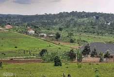 A picture of 50x100ft Wakiso Kakiri gobero mainroad plots Ready private mailo titles