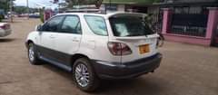 A picture of harrier 0767410504