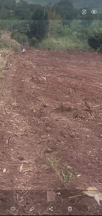 A picture of Plots on sale
