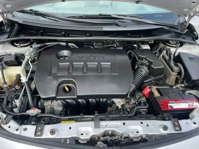 A picture of Direct Belgium 9 7m Original duty Buy and drive free
