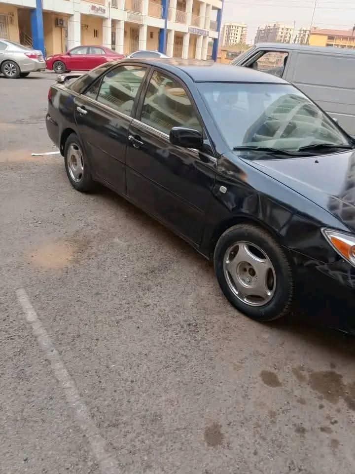A picture of Big Daddy Camry