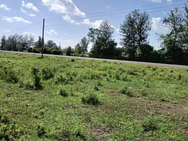 50 100 plots