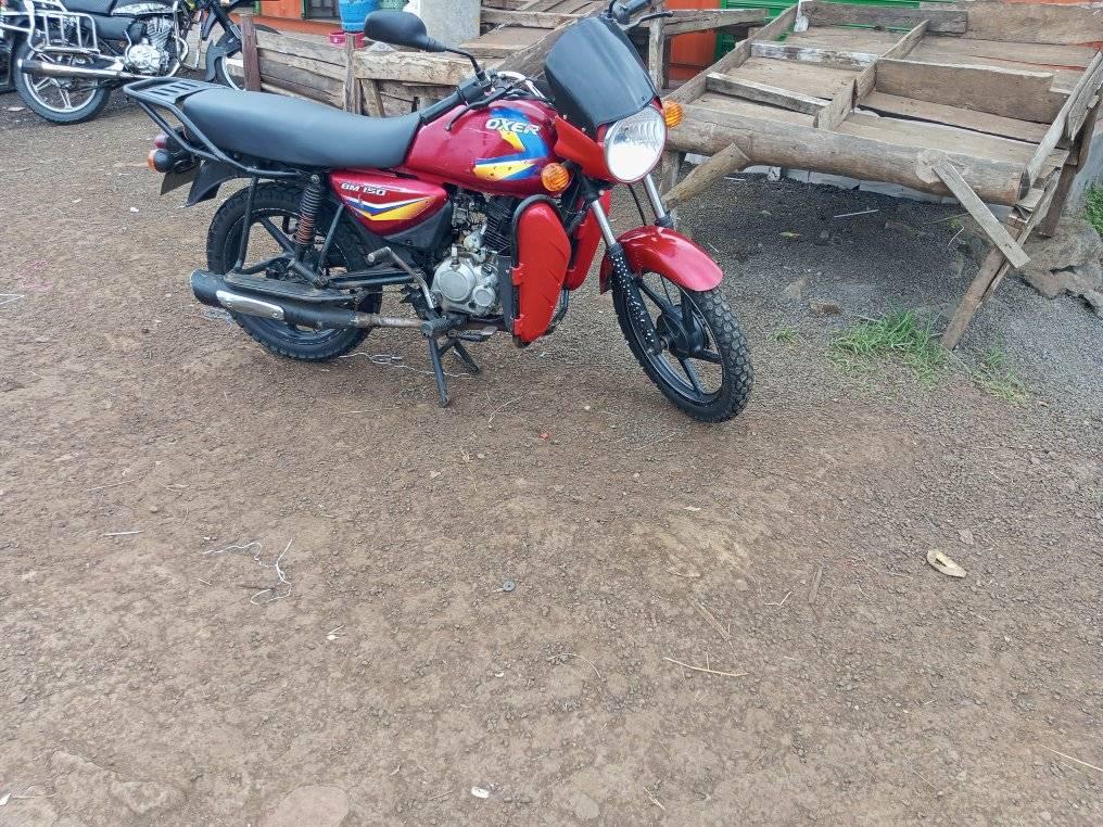 motorbikes