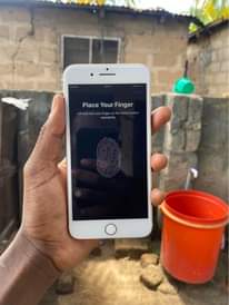 A picture of iPhone 7 Plus