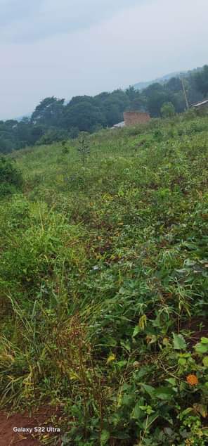 A picture of Plot 50 100 100 100