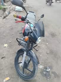 A picture of Boxser