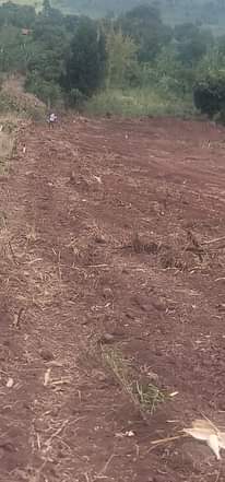 A picture of Plots for sale