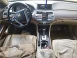 A picture of Honda Accord