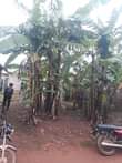 A picture of PLOTS IN RUBAGA DIVISION FROM 5M TO 25M 0701627821