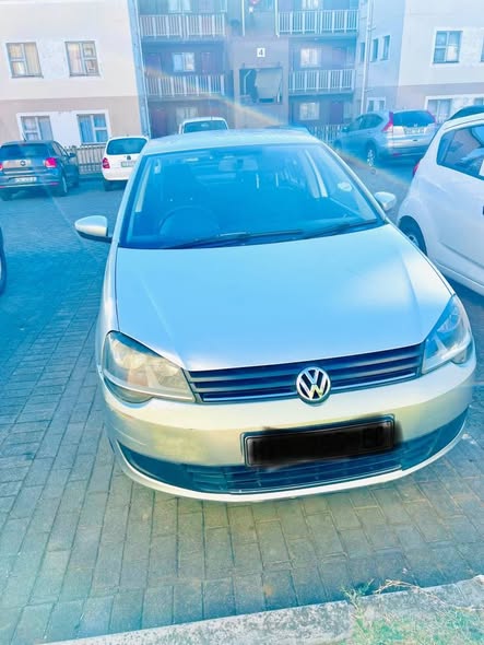 polo vivo