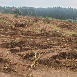 A picture of PLOTS AT NAMAYUMBA WAKISO..ALONG HOIMA ROAD plots are starting at