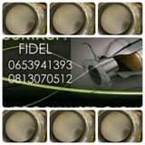 Fide M.