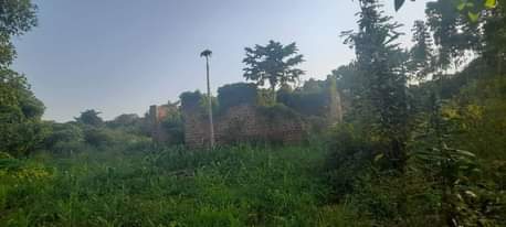A picture of Plot for sell size 40 205ft at 20m only wakiso