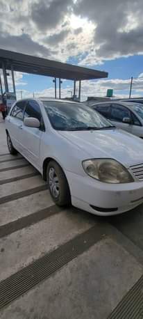 A picture of TOYOTA ALLEX