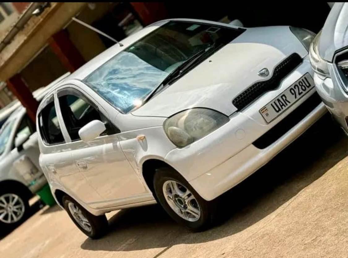 A picture of Vitz