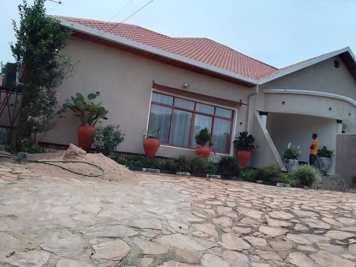 houses for rent