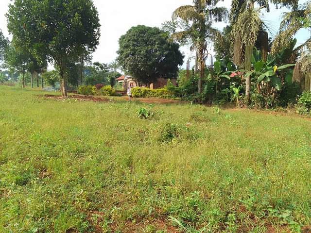 A picture of 13m matuga kirolo 100 50ft kyapa mungalo 0759364940