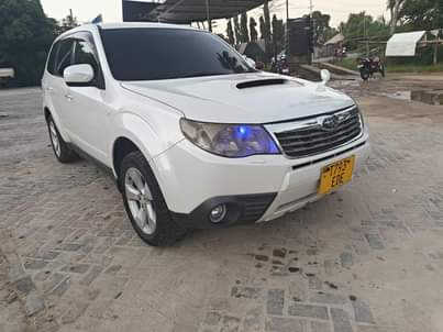 subaru forester