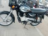 A picture of Boxer 125x