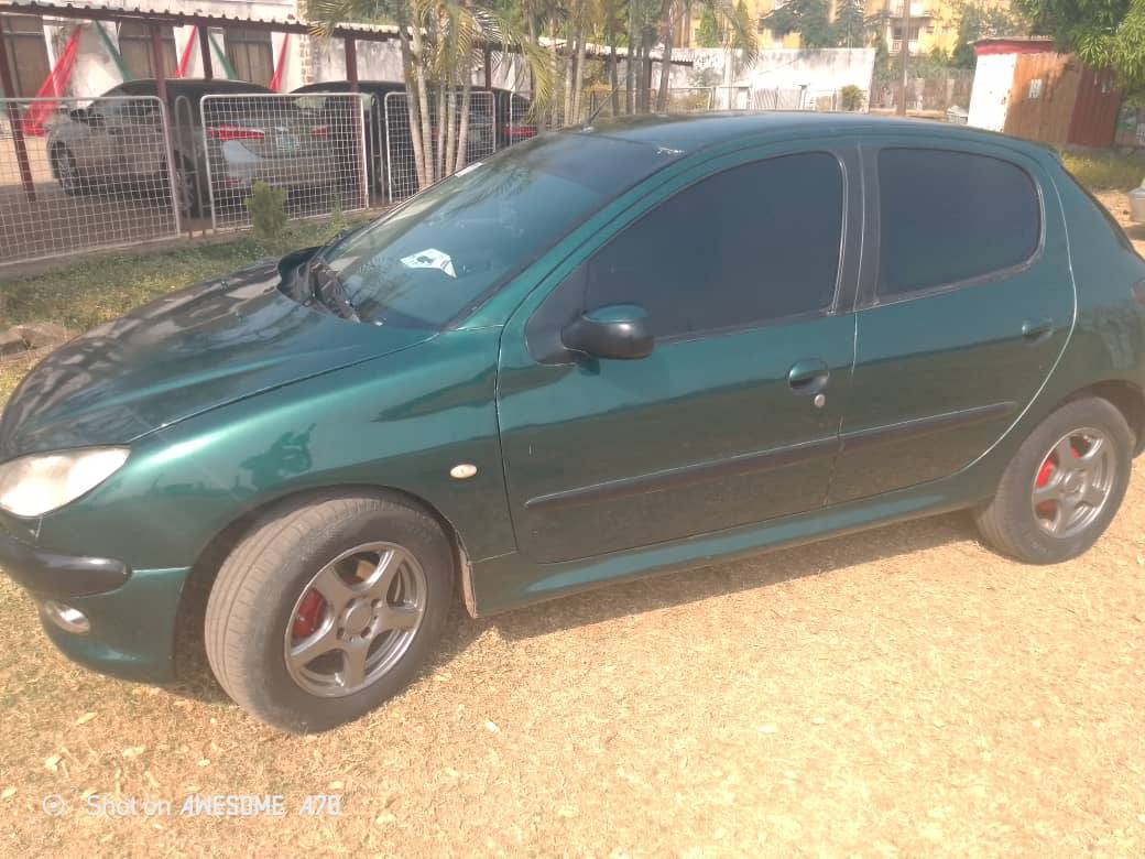 A picture of Peugeot 206