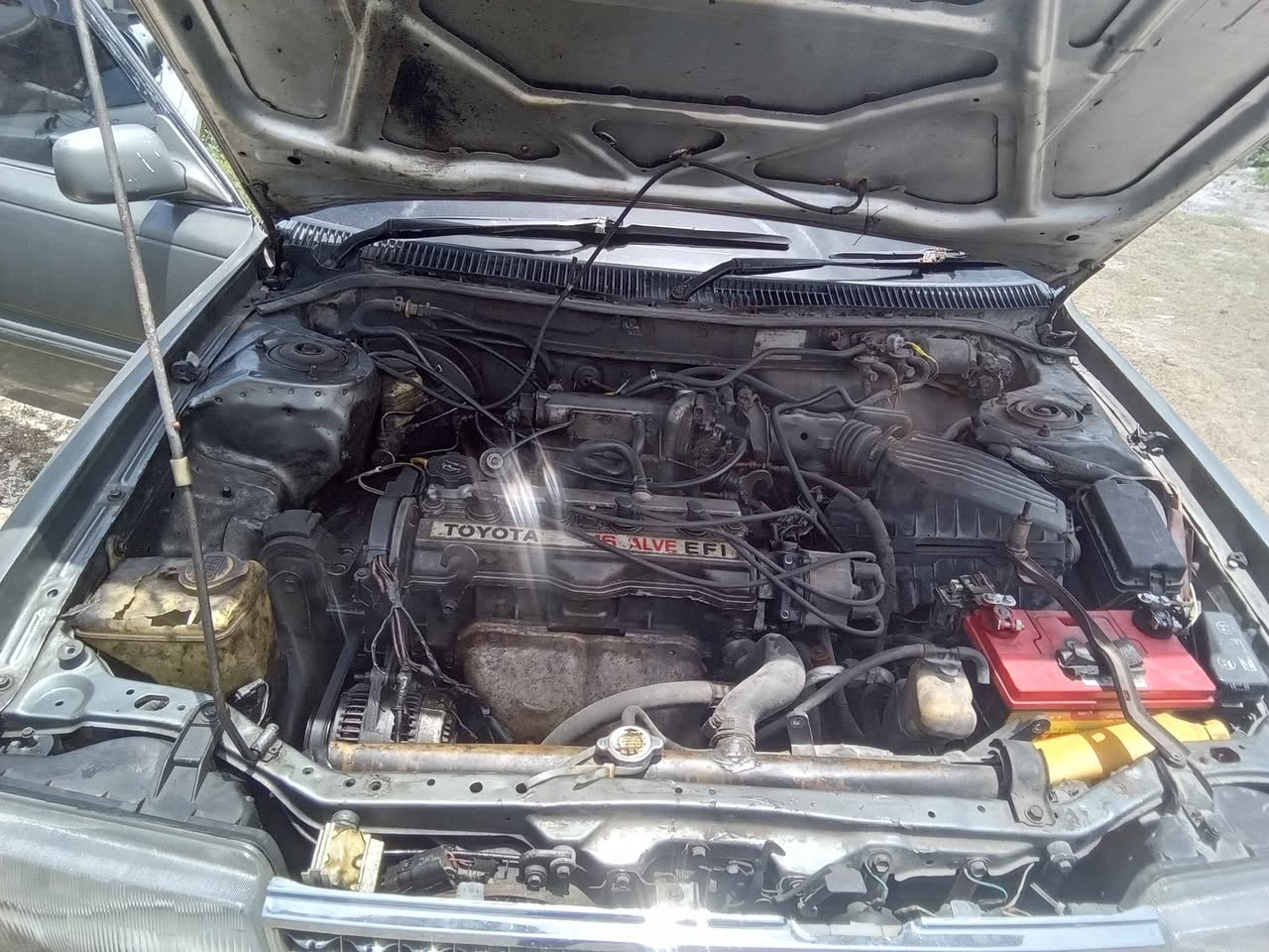 used toyota corolla