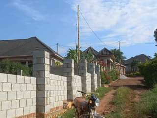A picture of Quick sale50by100 at kavule 25m negotiable with title