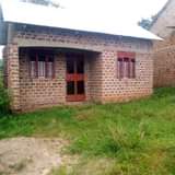 A picture of House on sale 13m located at matugga sanga Has1bedroom sitting
