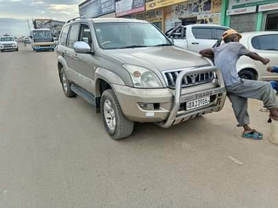 toyota land cruiser