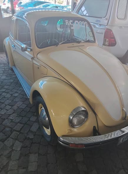 vw beetle