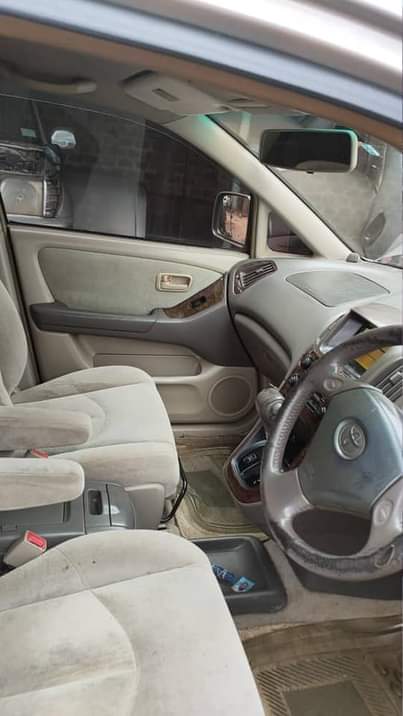 A picture of Harrier 2.2cc 12.7m