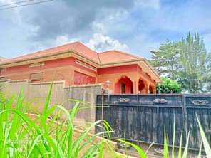 A picture of House for sale in kileka biira along sentema road after