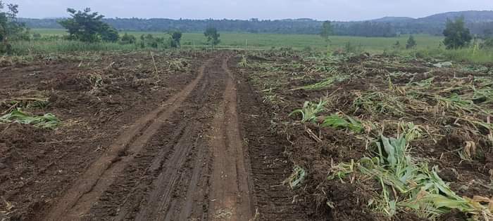 A picture of 50X100FT PLOTS FOR SALE IN NAMAYUMBA