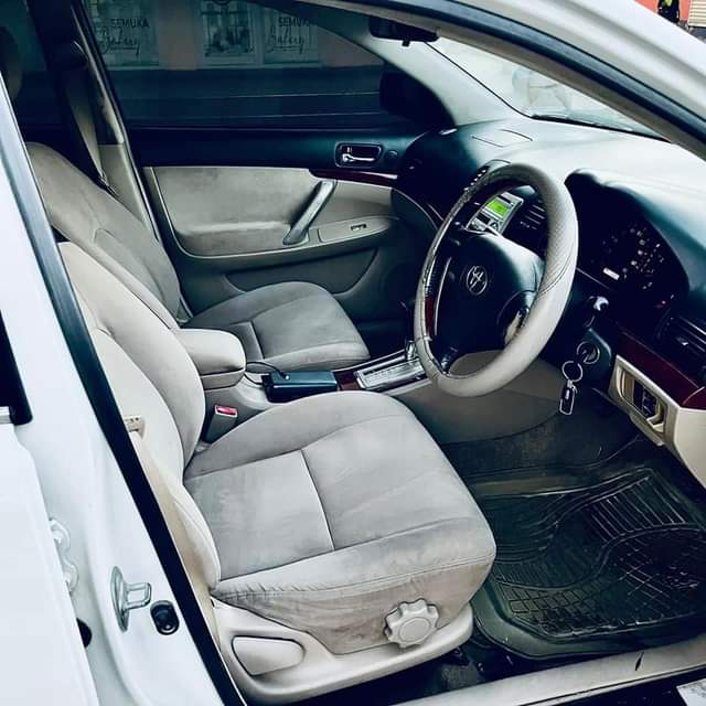 A picture of Premio cc 1490