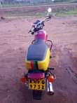 A picture of Boxer 100