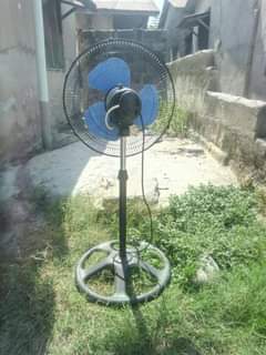 A picture of NAUZ FENI USED NYEUSI BEI 27000