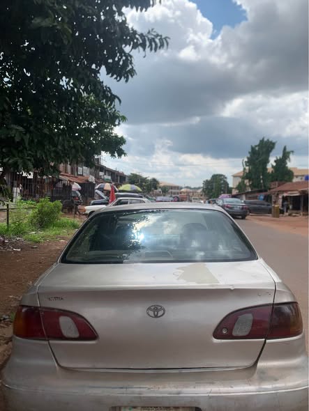 A picture of Corolla beast