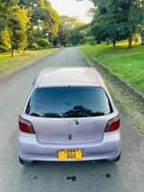 A picture of Vitz