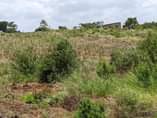 A picture of KIWANJA KINAUZWA