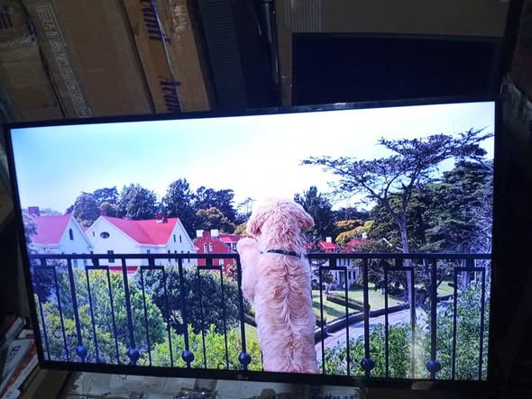 A picture of 32 inches LED TV
