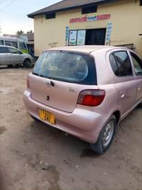 A picture of Vitz