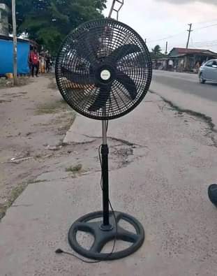 fans