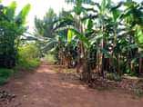 A picture of Sixteen acres of land for sale