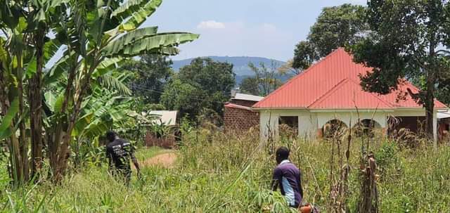 houses matugga