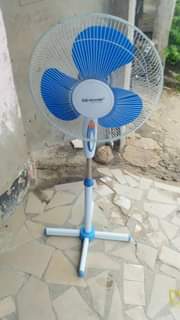 fans
